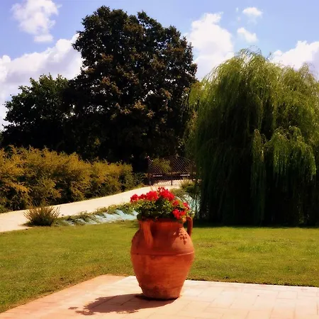 Bed & Breakfast Il Salice *